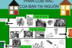 Chính phủ ban hành Nghị định quy định về Quản lý chất thải và phế liệu