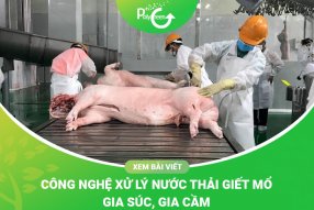 Công Nghệ Xử Lý Nước Thải Giết Mổ Gia Súc, Gia Cầm