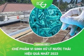 Các Loại Vi Sinh Xử Lý Nước Thải