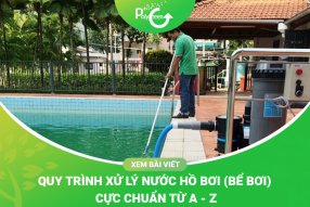 Xử Lý Nước Hồ Bơi 