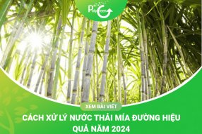 Công Nghệ Xử Lý Nước Thải Mía Đường Hiệu Quả Năm 2024