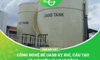 Bể UASB Trong Xử Lý Nước Thải: Cấu Tạo Và Nguyên Lý Hoạt Động