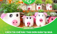 Tổng Hợp 100 Cách Tái Chế Rác Thải Tại Nhà Đơn Giản Và Thông Minh