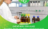 Chỉ Số BOD COD Là Gì