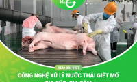 Công Nghệ Xử Lý Nước Thải Giết Mổ Gia Súc, Gia Cầm