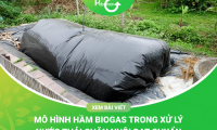 Hầm Biogas Trong Chăn Nuôi