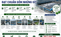Hệ thống xử lý nước thải đạt chuẩn gồm những gì?