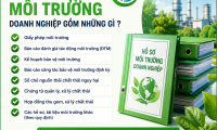 Hồ sơ môi trường doanh nghiệp gồm những gì?