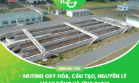Mương Oxy Hóa Là Gì? Cấu Tạo, Nguyên Lý Hoạt Động Và Cách Ứng Dụng