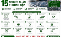 Nước Thải Đầu Ra Không Đạt QCVN: 15 Nguyên Nhân Thường Gặp