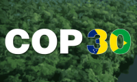 Hội nghị COP30: Việt Nam cần chuẩn bị những gì?
