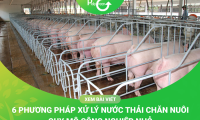 Xử Lý Nước Thải Chăn Nuôi