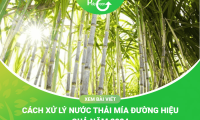 Công Nghệ Xử Lý Nước Thải Mía Đường Hiệu Quả Năm 2024