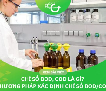 Chỉ Số BOD COD Là Gì