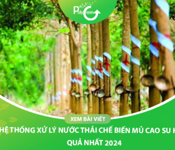 Hệ Thống Xử Lý Nước Thải Chế Biến Mủ Cao Su Tối Ưu Nhất Năm 2024