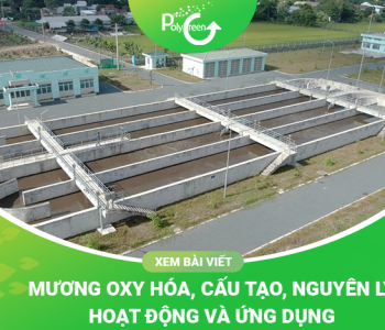 Mương Oxy Hóa Là Gì? Cấu Tạo, Nguyên Lý Hoạt Động Và Cách Ứng Dụng