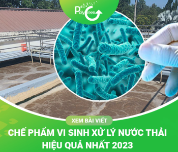 Các Loại Vi Sinh Xử Lý Nước Thải