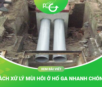 Cách Xử Lý Mùi Hôi Ở Hố Ga Nhanh Chóng, Đơn Giản Và Hiệu Quả