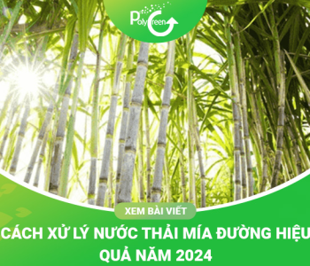 Công Nghệ Xử Lý Nước Thải Mía Đường Hiệu Quả Năm 2024