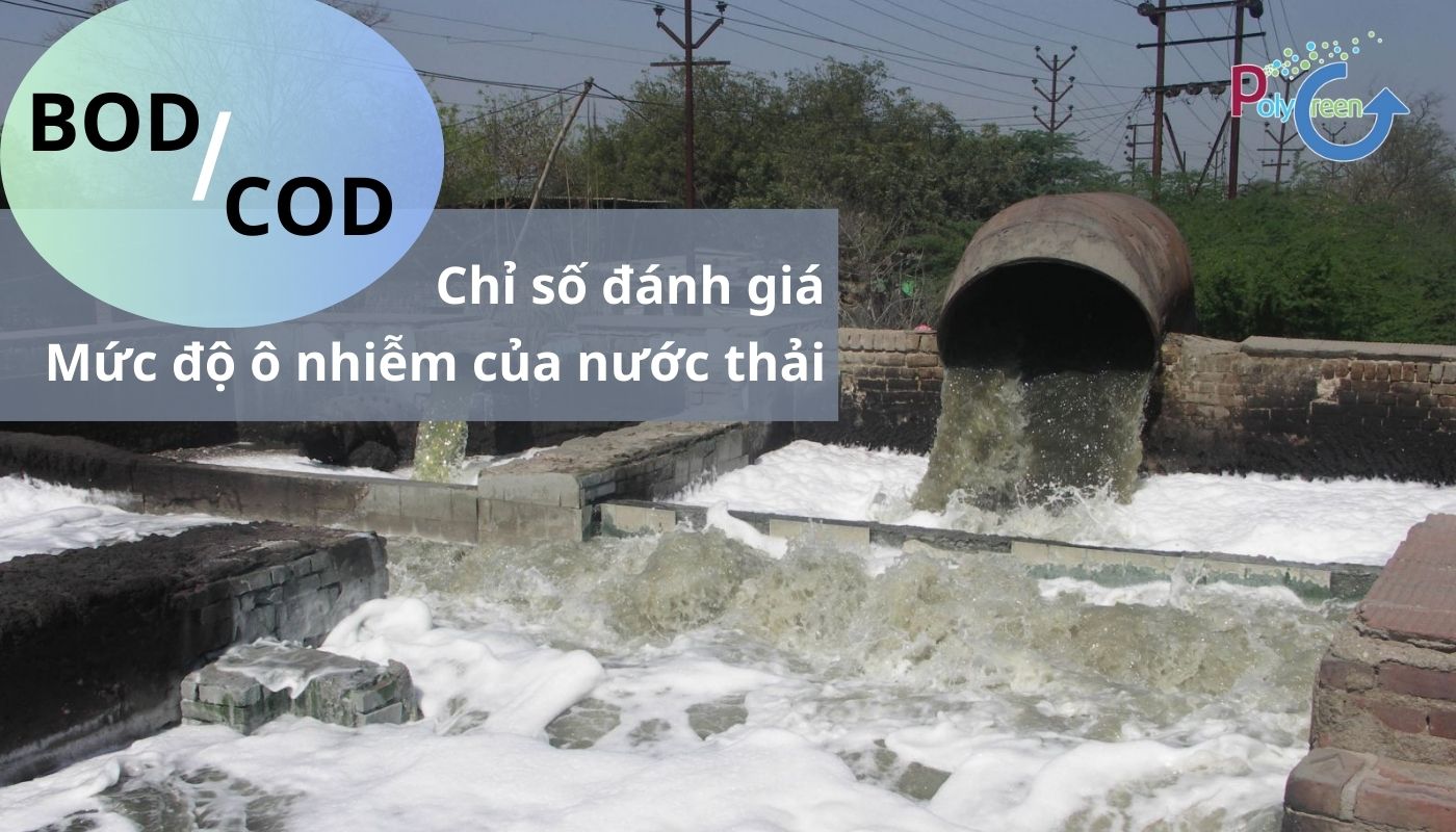 Chỉ số COD BOD đánh giá mức độ ô nhiễm