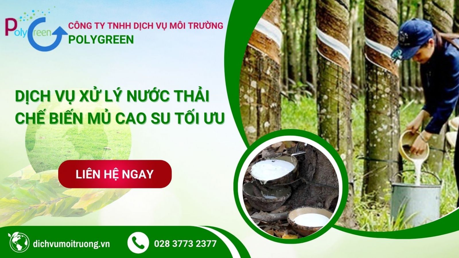 Polygreen chuyên tư vấn, lắp đặt hệ thống xử lý nước thải chế biến mủ cao su uy tín