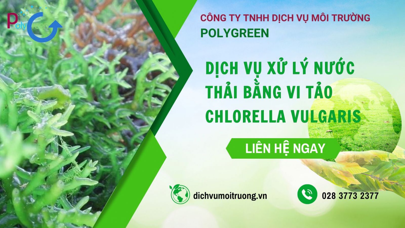 Polygreen - đơn vị chuyên tư vấn dịch vụ xử lý nước thải bằng vi tảo uy tín