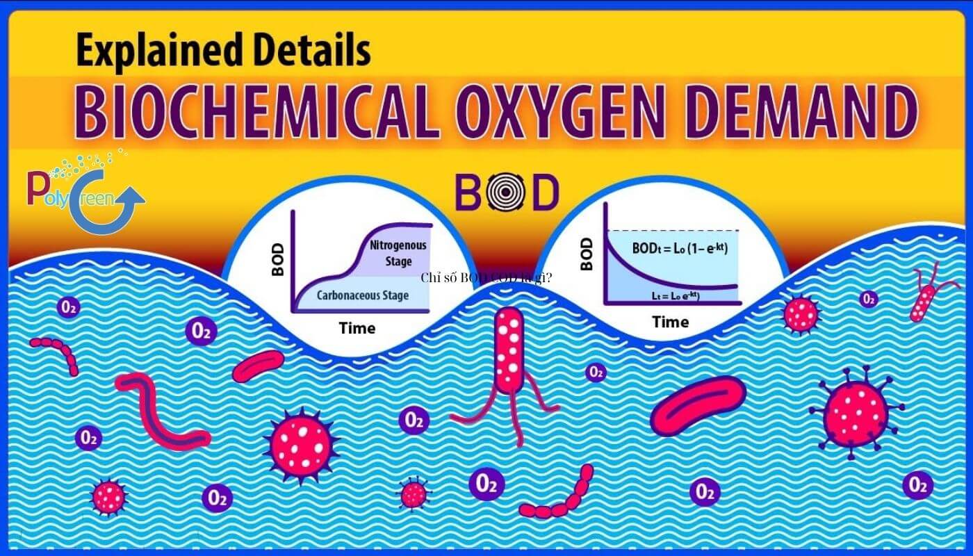 Chỉ số COD BOD là gì