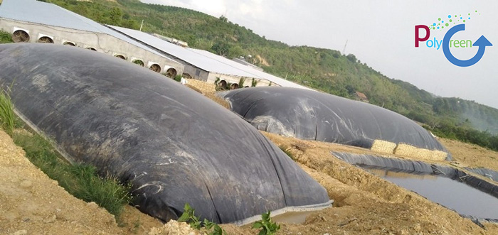 Cấu tạo của hầm biogas phủ bạt HDPE
