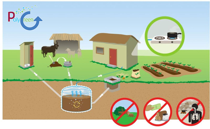Lợi ích của việc xử lý nước thải bằng hầm biogas