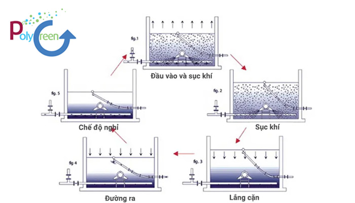 Quy trình, nguyên lý hoạt động của bể ASBR