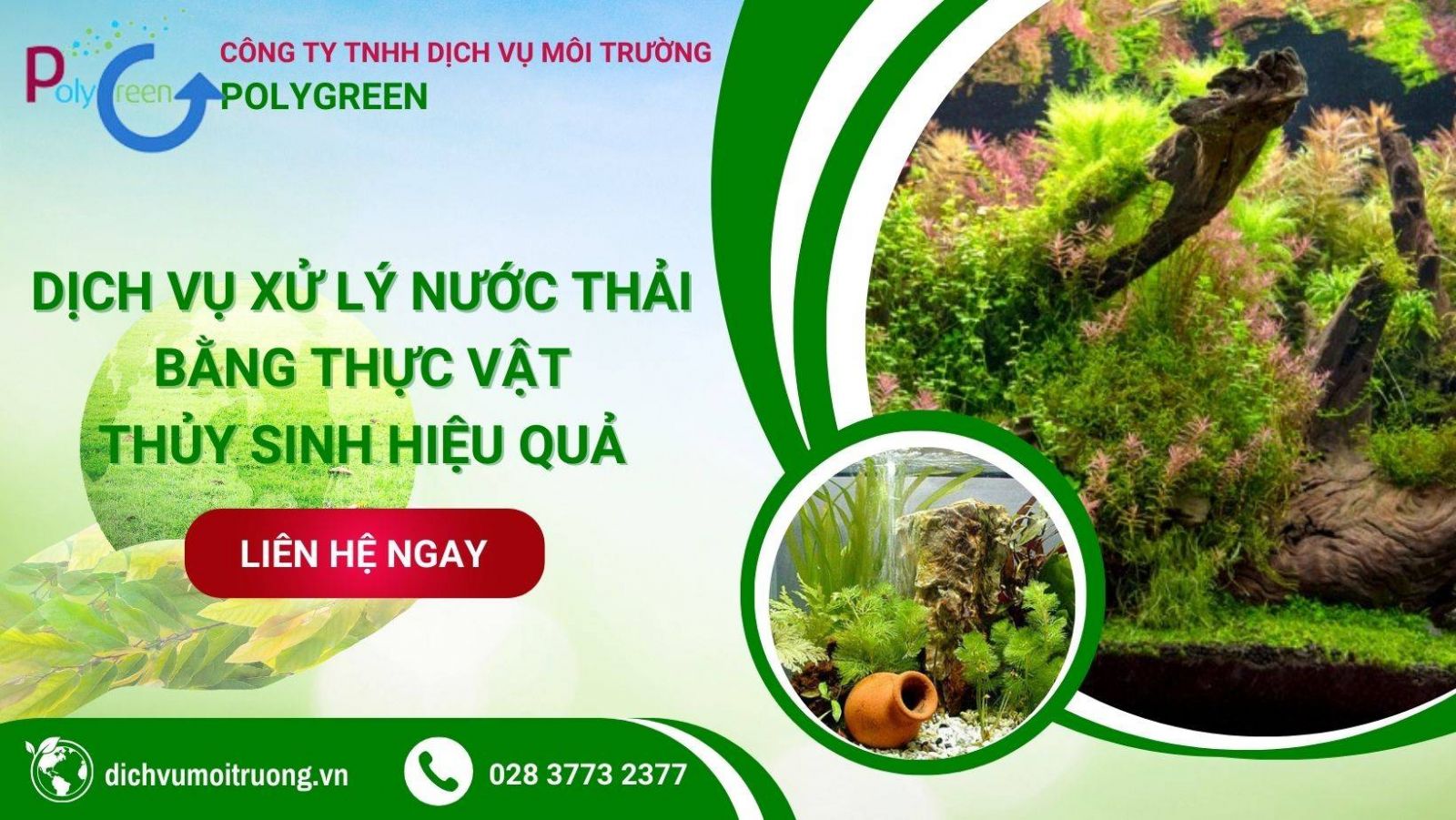 Polygreen - Chuyên cung cấp dịch vụ xử lý nước thải bằng thực vật thủy sinh 