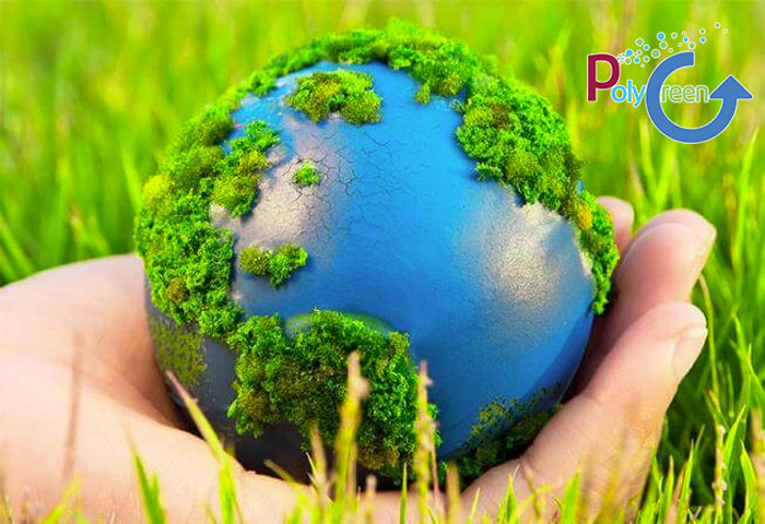 Công ty tư vấn giải pháp cho môi trường Polygreen
