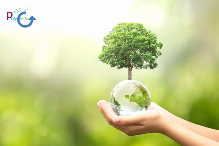 Tại sao doanh nghiệp nên sử dụng dịch vụ tư vấn môi trường
